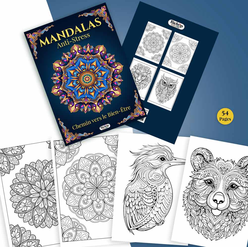 livre_de_coloriage - Bichop_colors - Mandala - Anti - stress