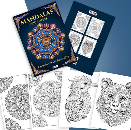 livre_de_coloriage - Bichop_colors - Mandala - Anti - stress