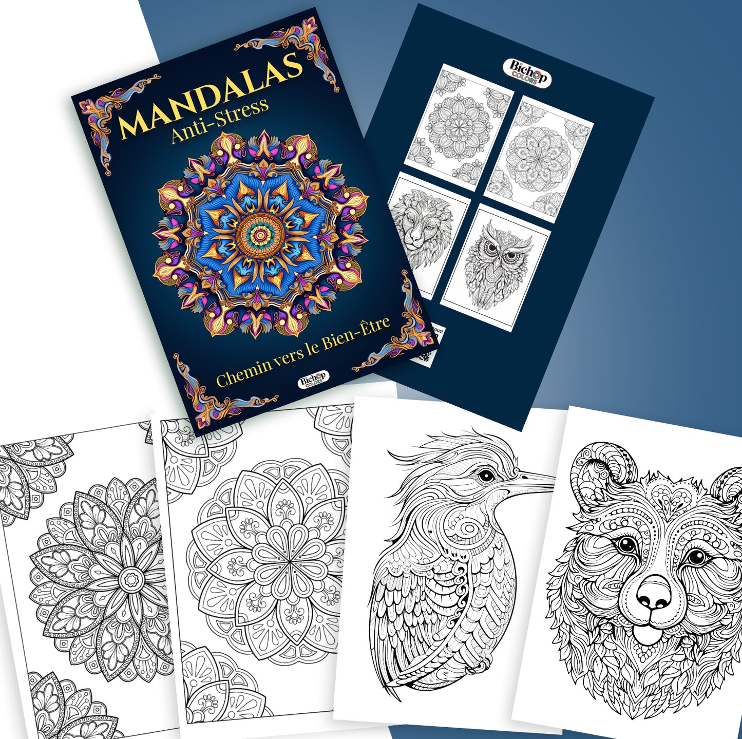 Pack 4 Livres de coloriage + 24 couleurs